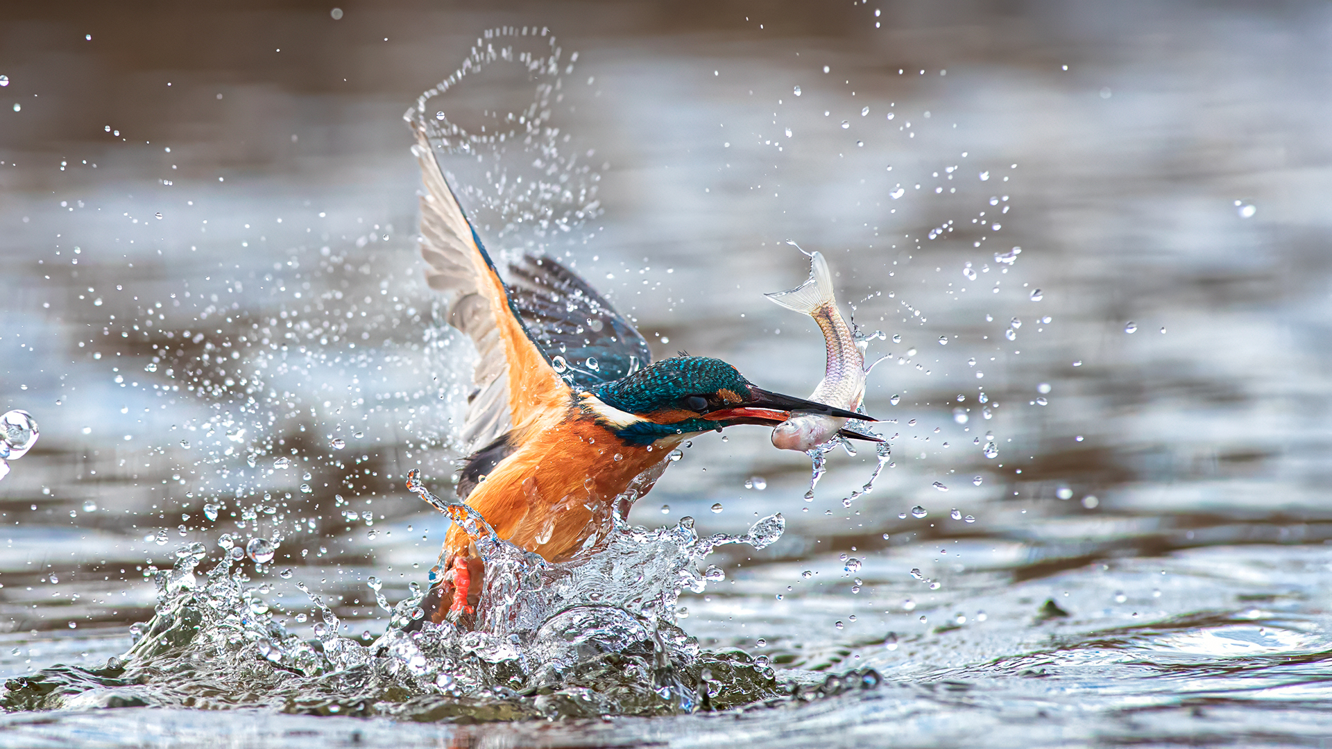 Zoltan Krahling (Hungary) I got this